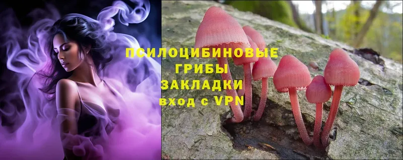 Псилоцибиновые грибы Psilocybe  где можно купить наркотик  Верещагино 